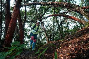 BIB: 
                            <button type="button" onclick="openModal(26344555)" class="btn btn-primary btn-sm float-right btn-popup" data-toggle="modal" data-target=".modal-high-quality">
                        <i class="fas fa-shopping-cart"></i> Add to Cart
                    </button>
                                            <button type="button" onclick="isThisMe(26344555, true)" class="btn btn-success btn-sm float-right btn-popup btn-isme hidden" data-toggle="tooltip" data-placement="bottom" title="นี่คือรูปของคุณใช่ไหม คลิกที่นี่เพื่อเอาเข้าอัลบั้ม">
                        <i class="fas fa-plus"></i> Add to album
                    </button>
                    <button type="button" onclick="isThisMe(26344555, false)" class="btn btn-warning btn-sm float-right btn-popup btn-isnotme hidden">
                        <i class="fas fa-ban"></i> Remove from album
                    </button>